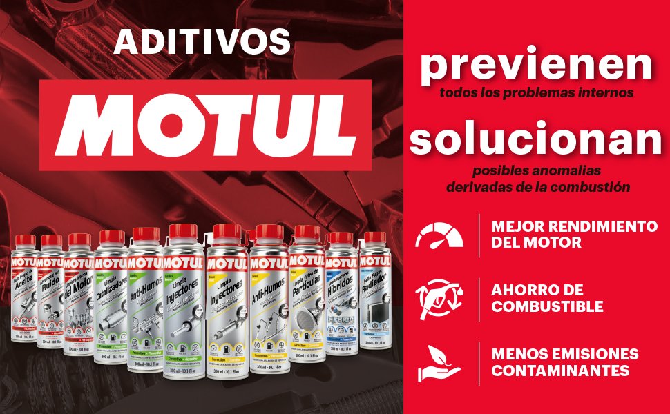 ADITIVO WYNNS LIMPIADOR VALVULA EGR FORMULA PROFESIONAL